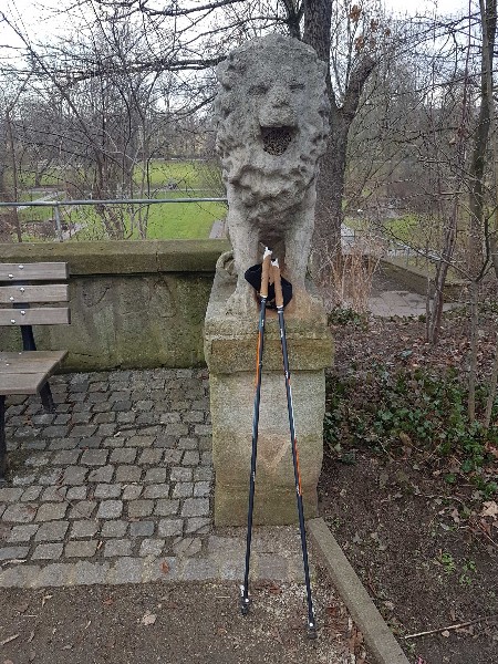 Stark wie ein Löwe durch Nordic Walking mit Fit bis Einhundert